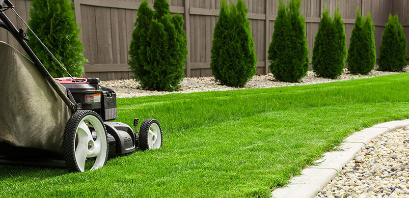 lawn mower machine